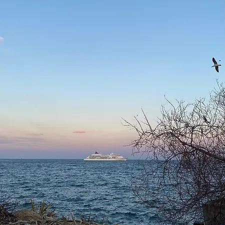 Overwave كافالا